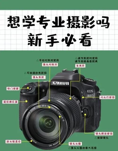 佳能80d白天拍照参数缩略图