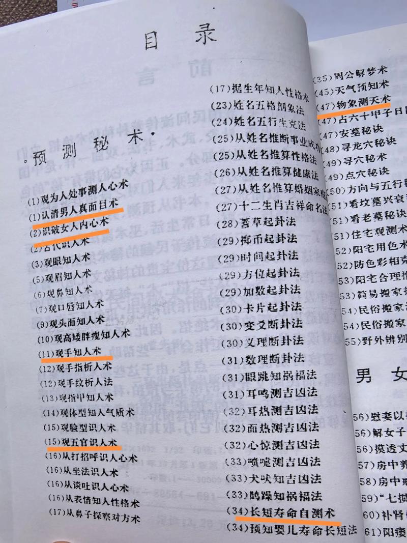 招术是词语吗