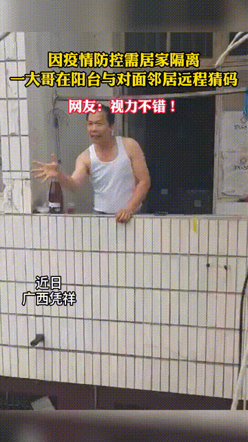 猜码动态表情包