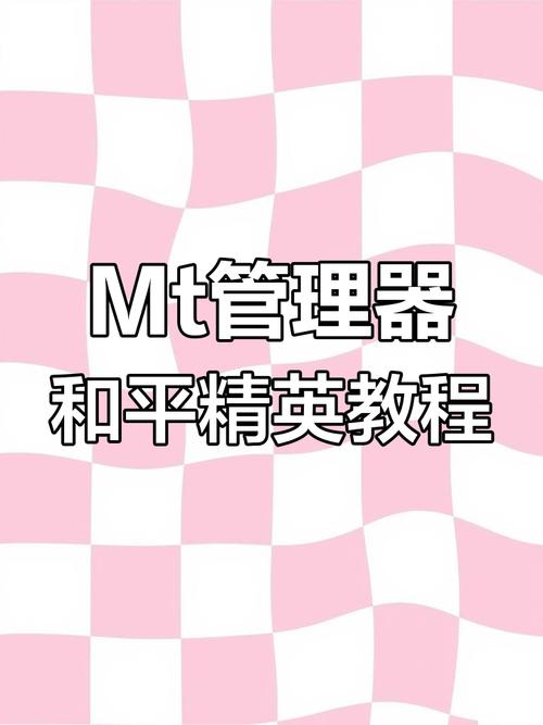 mtool怎么开bs2修改器截图