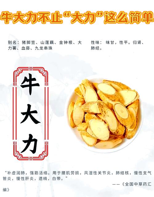 海南够力牛爹资料截图