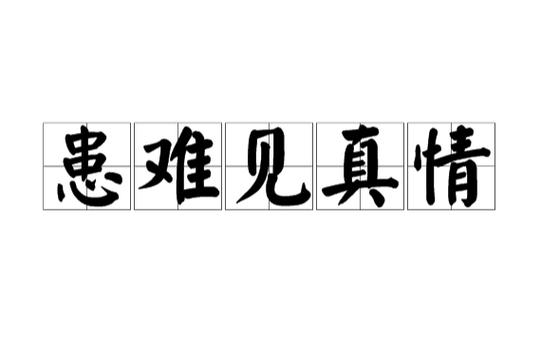 真情难觅的意思游戏截图
