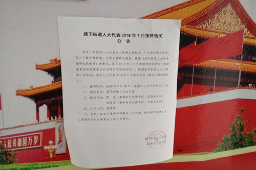 参加选民有什么好处吗截图