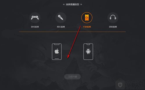 斗鱼直播伴侣官网