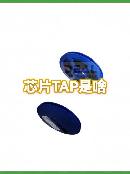 tap怎么读