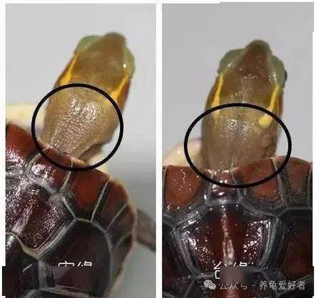 如何缓解金钱焦虑缩略图