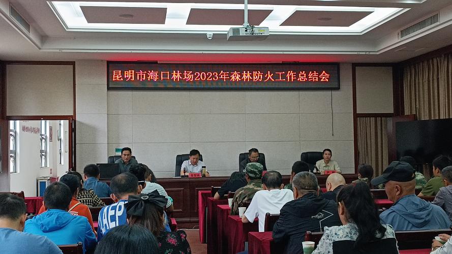 森林防火办工作总结