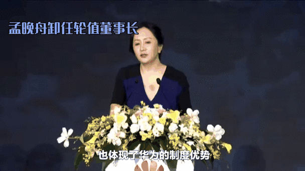 孟晚舟华为的股份