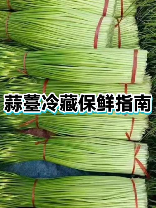 抽了蒜苔后几天能收蒜