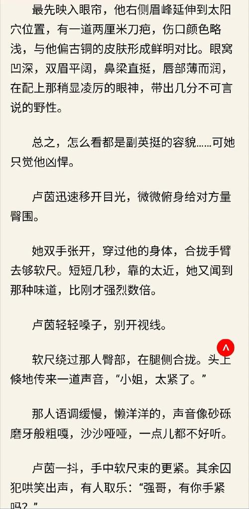 硬汉叶凌天最新章节图标