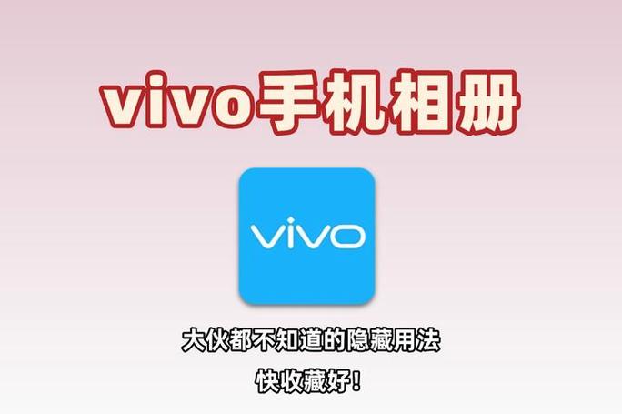 vivo相册最新版下载图标