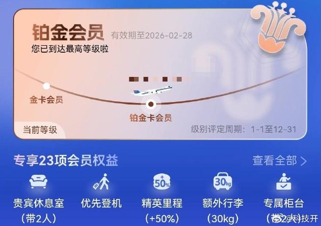铂金会员一年消费多少钱
