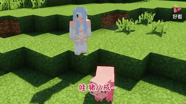 我白的世界