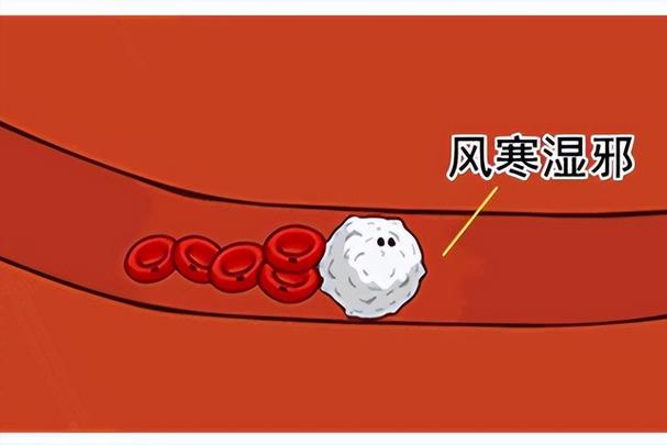 吹风机会把寒气吹出来吗