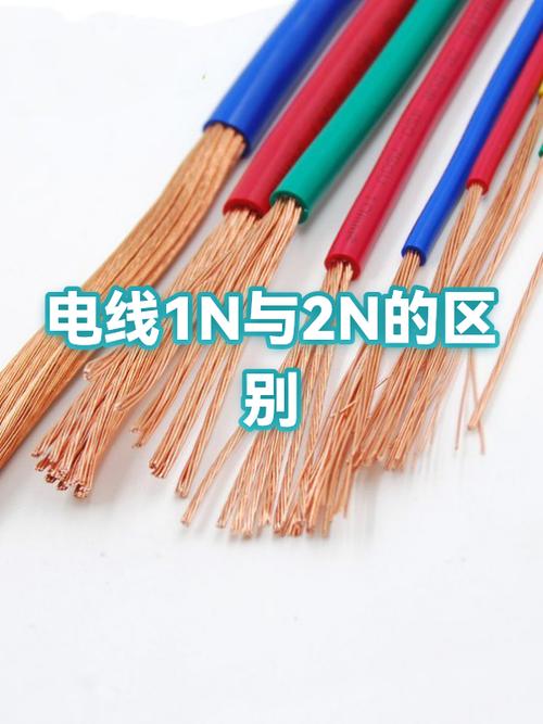2n1n是什么意思