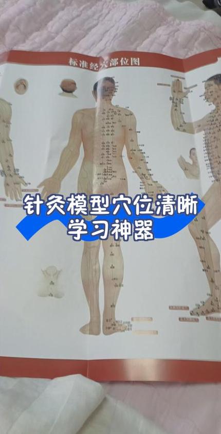 成人学针灸哪里学