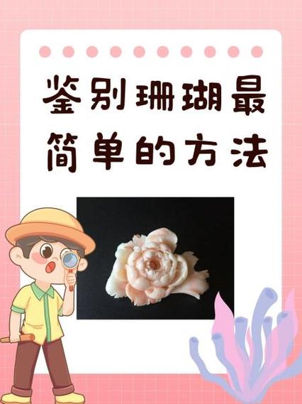 珊瑚的获取方法