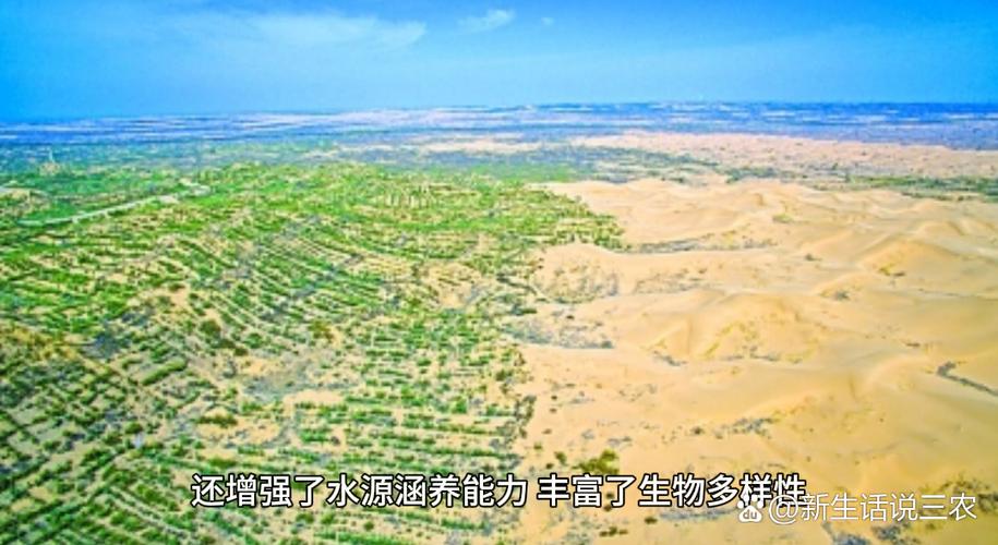 沙漠变绿洲的危害