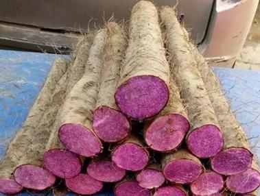 三种人不宜吃紫山药