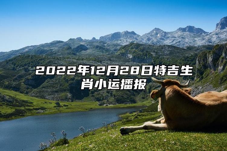 今日特吉生肖小运播报2021年