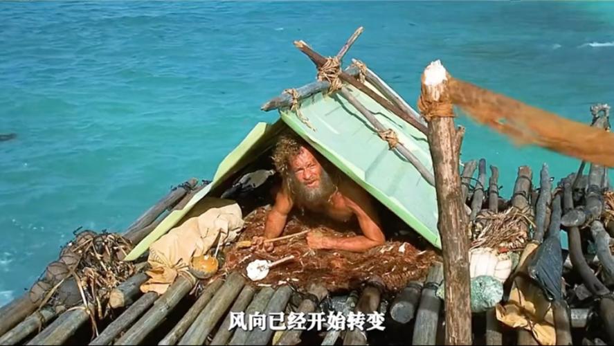 德哥荒岛余生全集缩略图