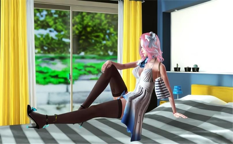 playhome终极版什么意思