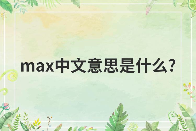 max中文截图