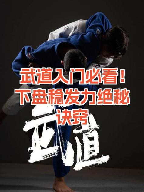 武道的诀窍截图