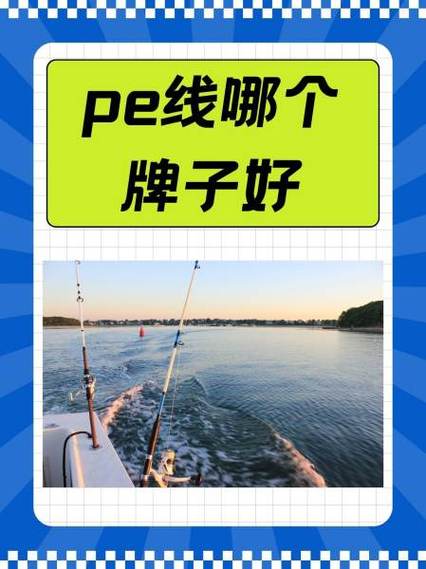 pe线最建议买三个牌子截图