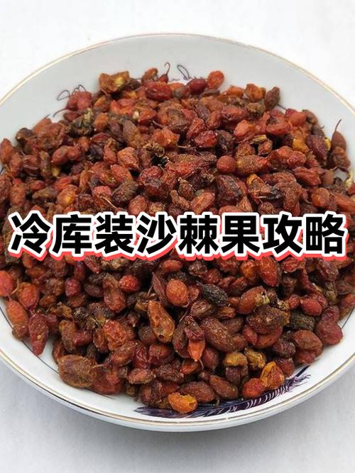 沙棘对脑梗的8大好处截图