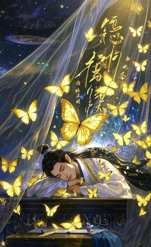 梦蝶榜一自费