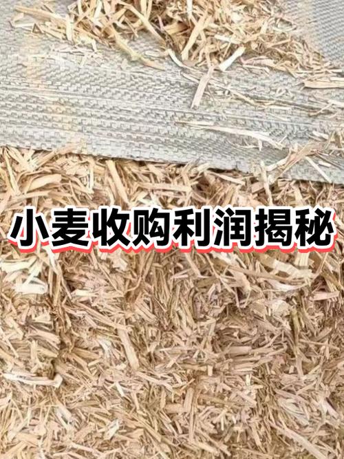 收一吨小麦的利润计算方法