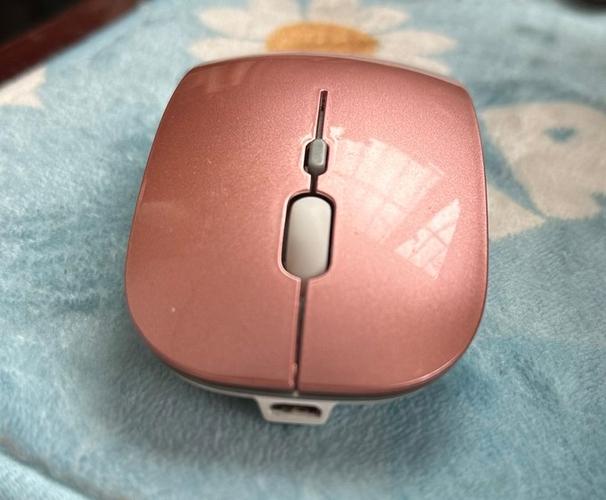ipad可以用蓝牙鼠标吗