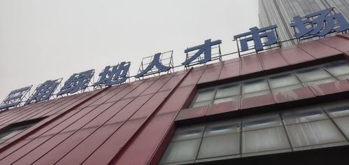 金乡生活网最新招聘