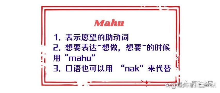 saya什么语言截图