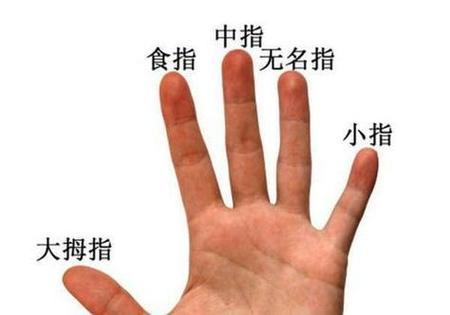 五指怎么叫法图标