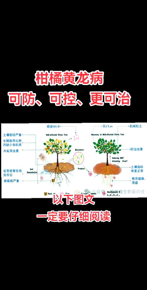 烂橘子官网进不去了
