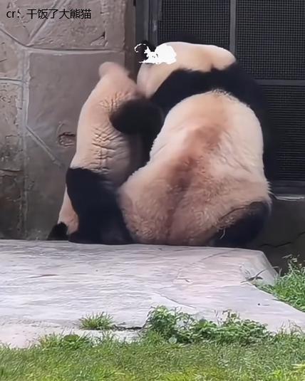 《那你哭着我》作者:熊猫团团