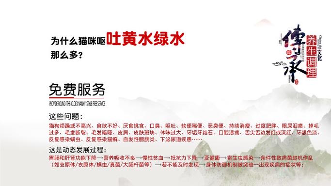 猫咪吐绿水但是精神好