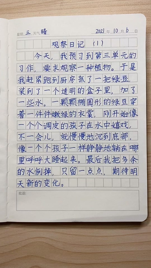 绿豆观察日记作文
