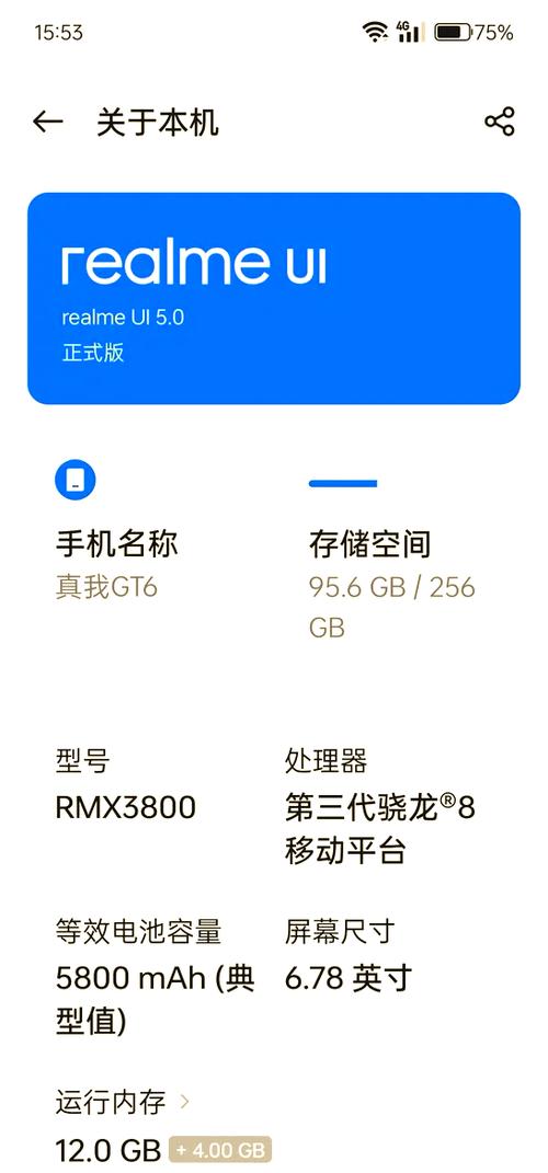 真我主题免费主题