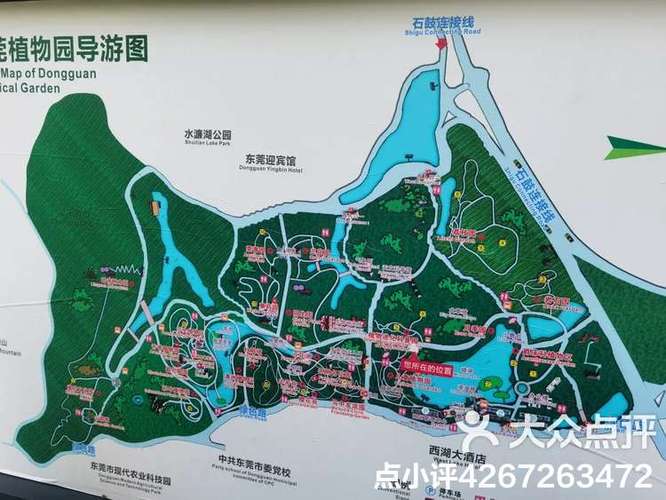 东莞汇一城属于东城还是南城缩略图