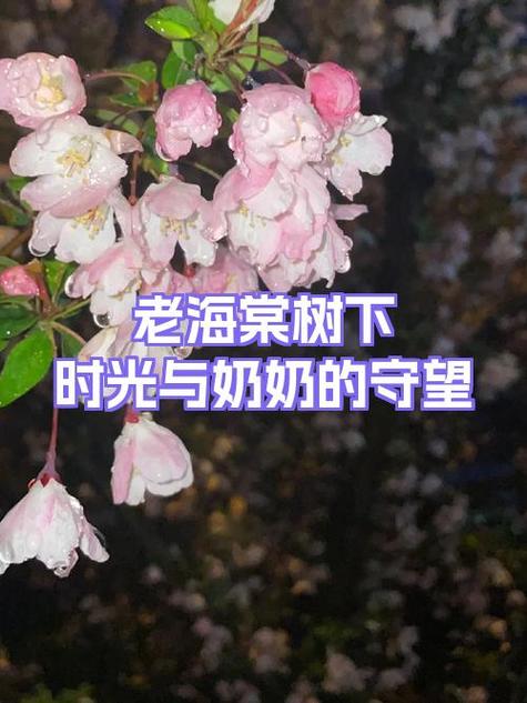 中国移动等待接听纯音乐