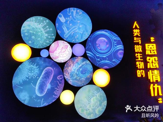 查看对方微信聊天记录的软件游戏截图