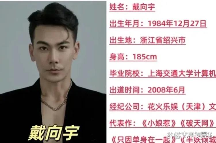 今年暑假娱乐圈的瓜图标