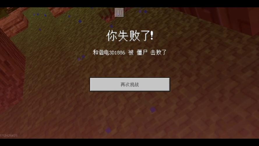我的世界追杀视频游戏截图