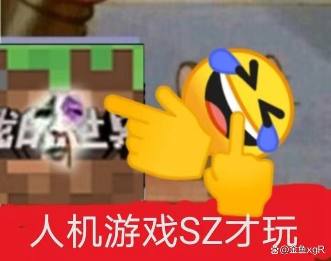 正版mc和盗版mc的区别