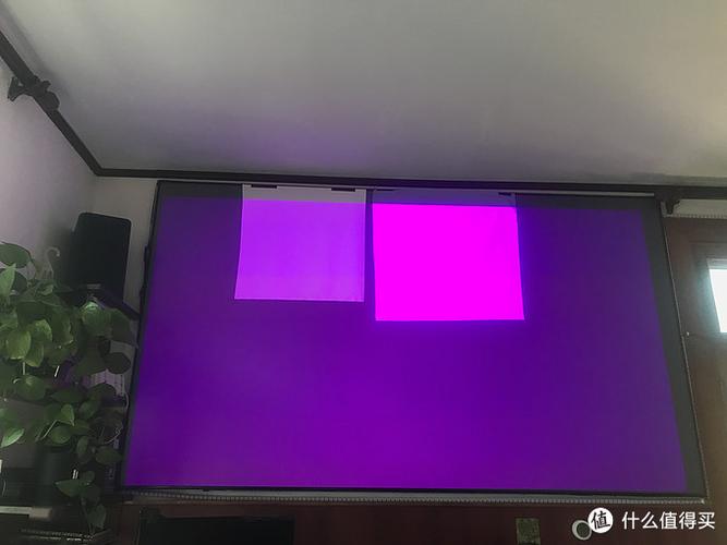 投影仪紫色游戏截图