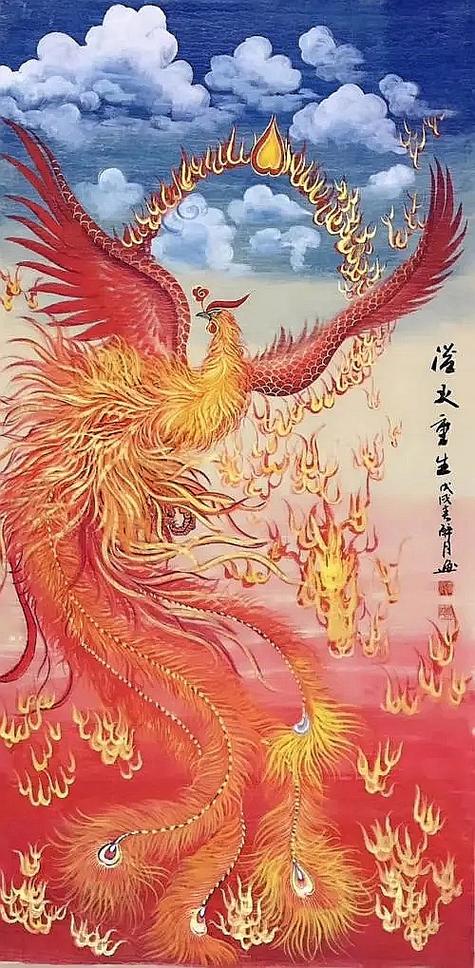 丹鸟是什么鸟截图