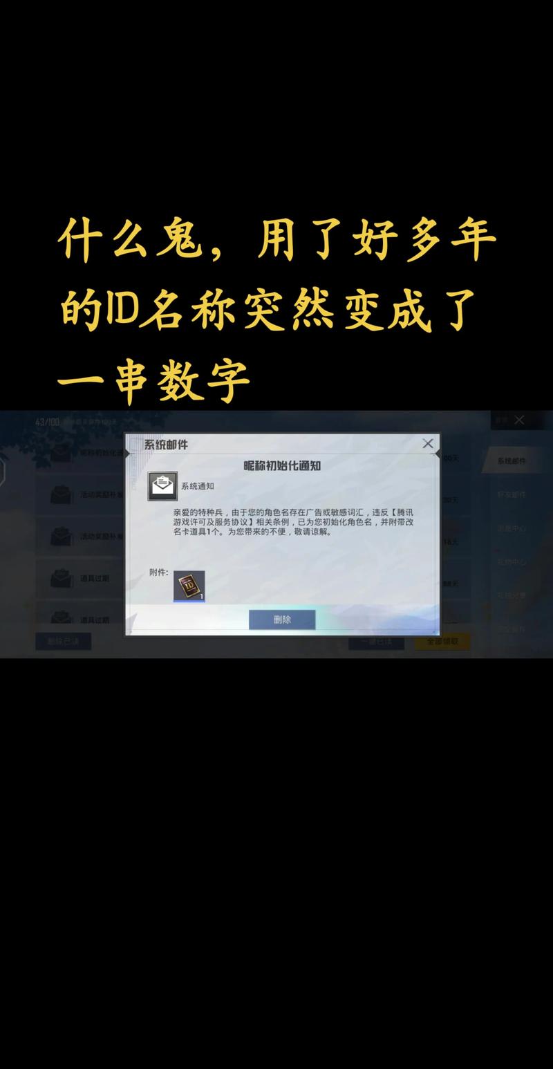和平精英数字id是什么意思啊游戏截图